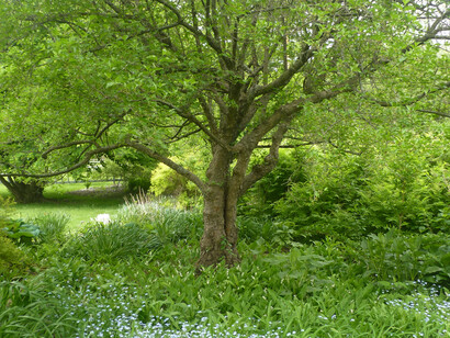 Berkshire Botanical Gardens