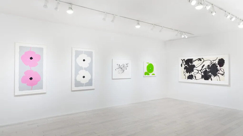 Donald Sultan, Flowers, exhibition view. Courtesy of Mary Ryan Gallery