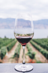 Ottobre è il mese delle sagre in Italia e si possono degustare ottime prelibatezze locali insieme a un calice di vino