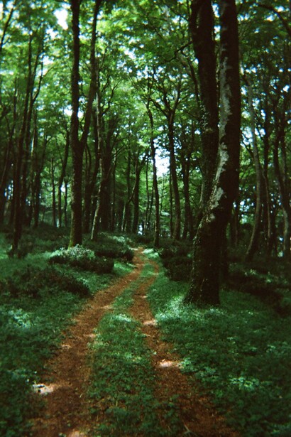 Sentiero nell'entroterra, Calabria