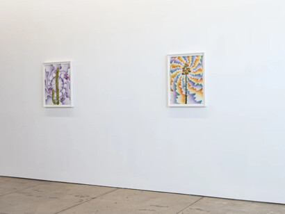 Francesca Gabbiani and Eddie Ruscha, The messengers, exhibition view. Courtesy of Wilding Cran Gallery
