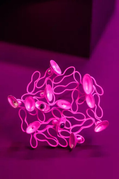 Spectrum: beautiful nature. Courtesy of Museum of Decorative Arts and Design