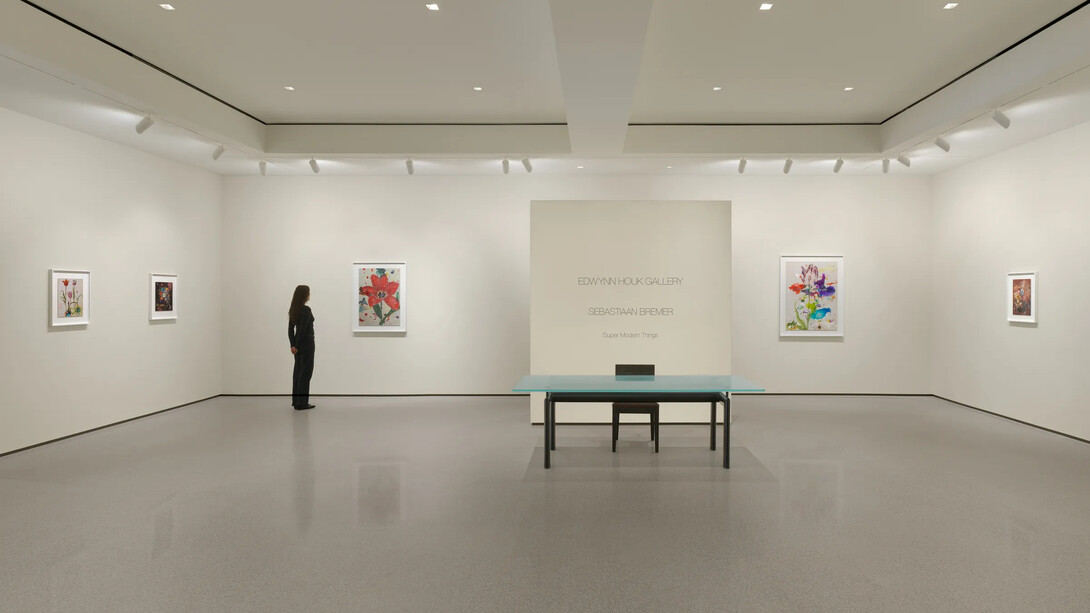 Sebastiaan Bremer, Super modern things, exhibition view. Courtesy of Edwynn Houk Gallery