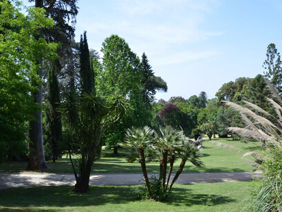 Il viale centrale del Parco, lungo circa 3 chilometri, conduce i visitatori attraverso una serie di magnifiche fontane, tra cui la celebre Fontana di Diana e Atteone, che culmina in una grande cascata artificiale, Reggia di Caserta, Caserta, Italia