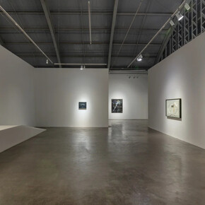 Guglielmo Castelli, Um galo sozinho não tece uma manhã, exhibition view. Courtesy of Mendes Wood DM