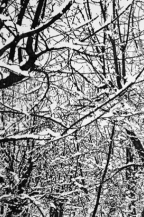 Fahrad Moshiri. Courtesy of Perrotin