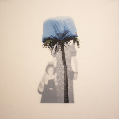 Alessandra Brown, De-Generazioni, stampa fotografica su mixed media, 2018