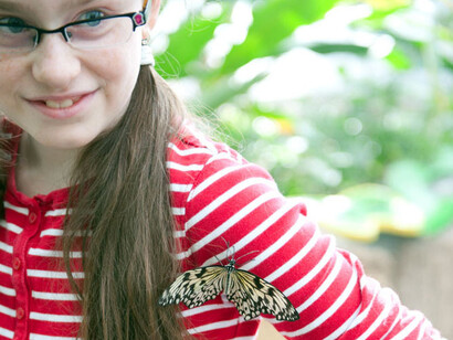 La Galerie des papillons F. Jean MacLeod. Courtesy of Science Nord