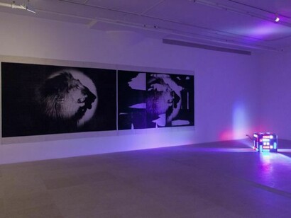 Michael Fullerton, Installation views, Meaning, Inc. 2014
