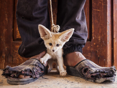 Bruno D'Amicis, Winner, "The price they pay", Category: World in our Hands, Italy