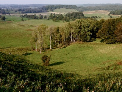 Entorno de Egtved, Dinamarca