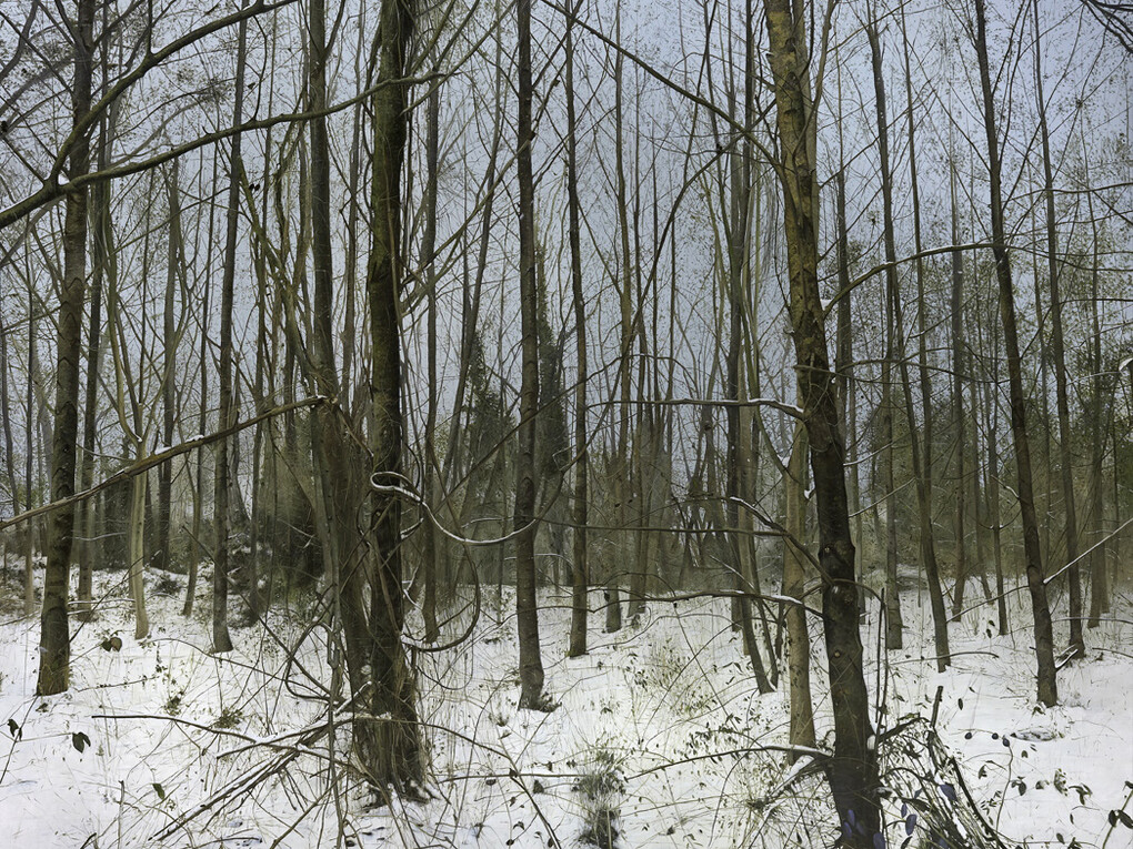 Martin La Rosa, Tomaso's Awakenings, Oil on canvas

