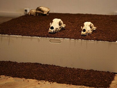 «Territórios, vestígios, lascas» na Galeria Trem