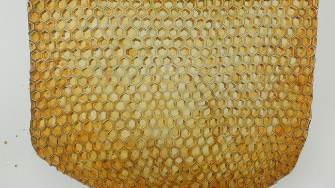 Kiel Johnson, Comb Sweet Comb - graphite & watercolor on paper mounted to panel - 42 x 58 - 2014  
