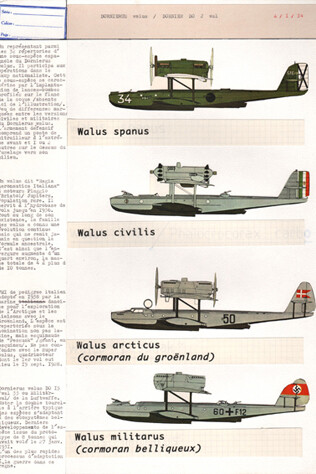 Jean-Yves Jouannais, Dornelius Wallus (extrait de « Histoire naturelle »), 2014, Technique mixte sur papier, 5 éléments ; chacun 42 x 29,7 cm  