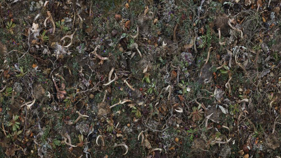 Tanya Marcuse. Courtesy of George Eastman Museum