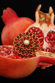 Jewel by Attia Shiraz