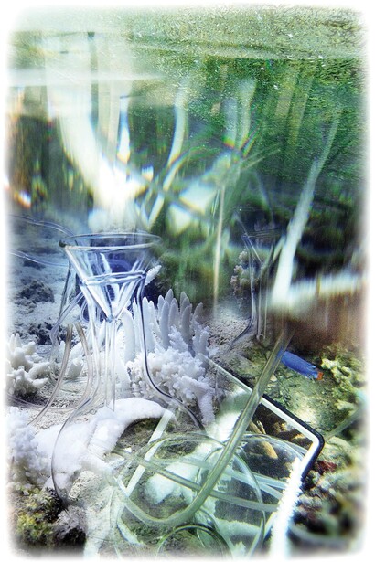 Janet Laurence, Coral Collapse (Homeopathy #1) 2015, Courtesy of Janet Laurence and The Fine Art Society