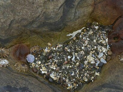 Robert Smith, Treasure