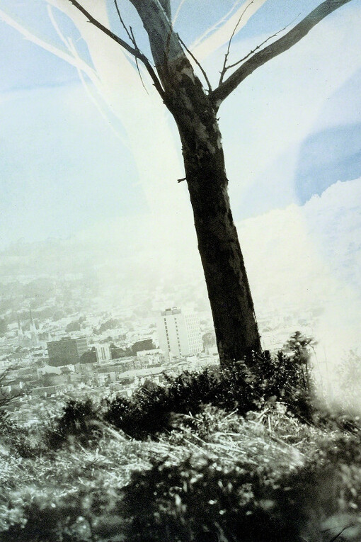 Kind of Blue. Courtesy of Crown Point Press 