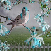 Richard Levy Gallery