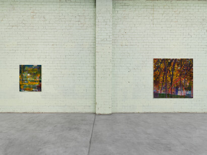 Ben Tong, Idea of north, exhibition view. Courtesy of Night Gallery