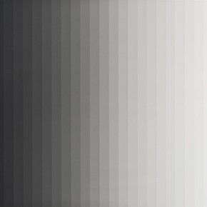 Iran do Espírito Santo, Untitled (Photogram 3 - Vertical), 2013, Photogram, 86 x 103 cm / 33 7/8 x 40 1/2 ins, © The Artist; Courtesy Alison Jacques Gallery, London; Photography Michael Brzezinski