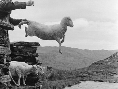 Picture post. Courtesy of National Museum Cardiff