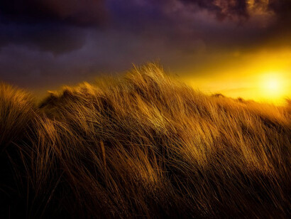 The looming storm hints at the contradictions within our lives, where the beauty of growth in the grass contrasts with the oppressive weight of unaddressed limits, urging us to seek transformation