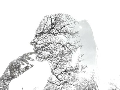 Guias que formam e instruem os Buscadores do desenvolvimento interior