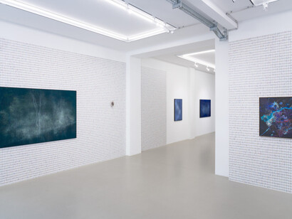 Holger Schmidhuber, The killer, ausstellungsansicht. Mit freundlicher genehmigung der Galerie Aoa;87