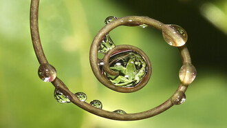 The sense of life
