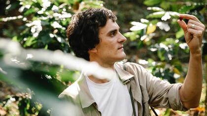 Homem na floresta observa com detalhes a natureza e seus frutos