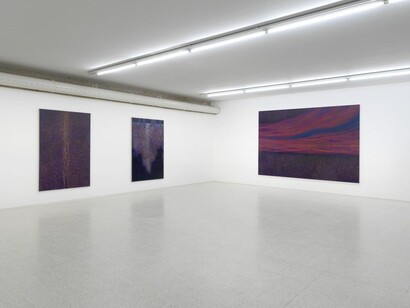 Luisa Rabbia. Courtesy of Collezione Maramotti
