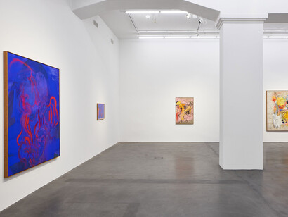 Installation view, ‘Rita Ackermann. Brother and Sister’, Hauser & Wirth Zürich, 2019
© Rita Ackermann
Courtesy the artist and Hauser & Wirth 
Photo: Jon Etter
