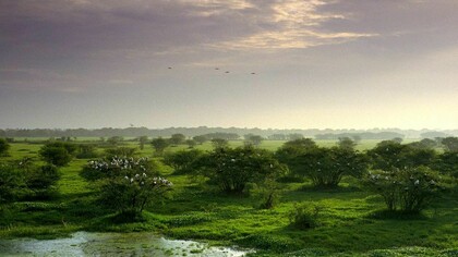 Keoladeo National Park © James P. Blair
