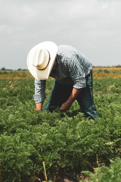 Returning to nature-aligned methods and innovative technology offers a practical, cost-effective solution to secure global food supplies