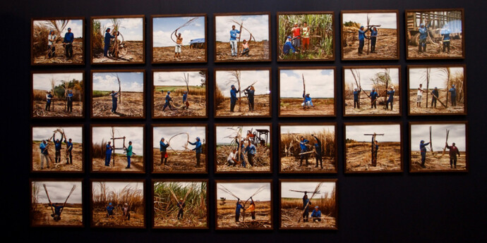 Like dust in the wind. Courtesy of Museu de Arte do Rio