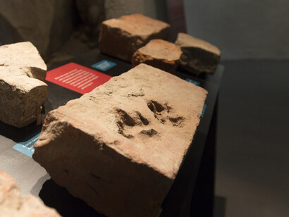 Bony Tales. Courtesy of Aboa Vetus & Ars Nova