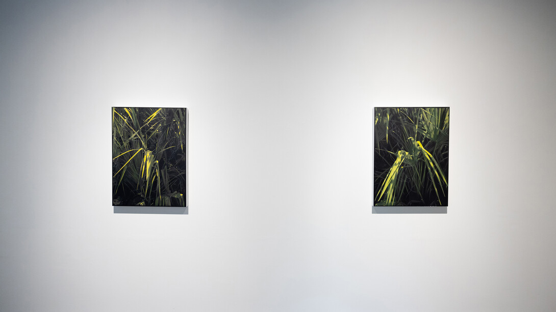 Installation Shot, Ann Stautberg, Interlude, 2023. Courtesy of Barry Whistler Gallery. Photo by Allison V. Smith