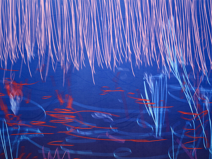 Ry David Bradley. Courtesy of PM/AM