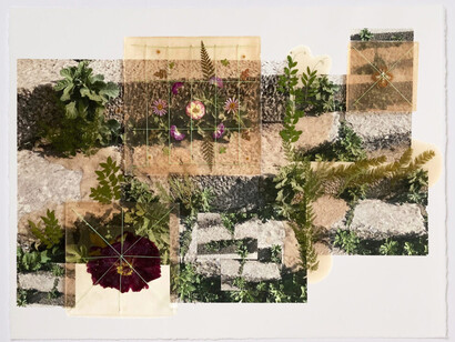 Jil Weinstock, Crabgrass & Primrose, 2024. Photographs, rubber, plant life, and thread on Rives BFK paper, 30 x 44 inches. Courtesy of Winston Wächter Fine Art, New York 