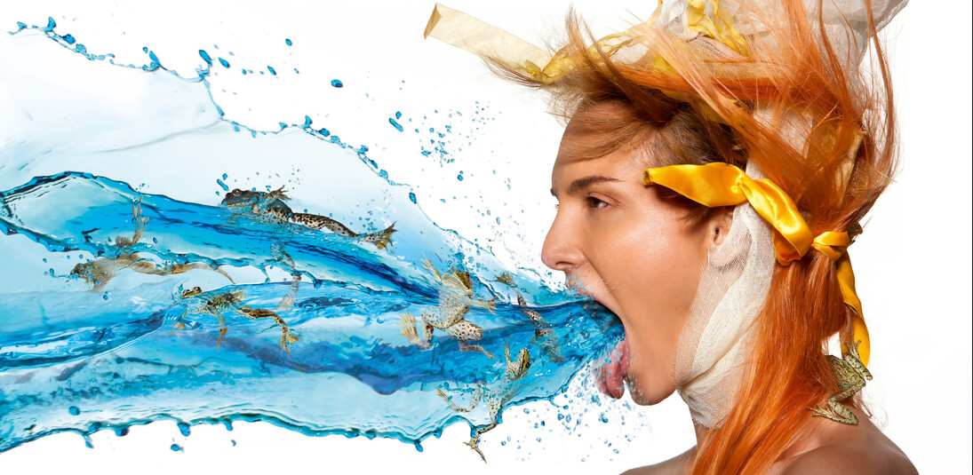 Heinz Schattner, Frog 58x28,3cm Hahnemuehle Barytata