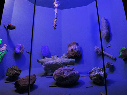 Geology, exhibition view. Courtesy of National Museum Bloemfontein