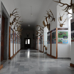 The Sallač Collection. Courtesy of National Museum of Agriculture