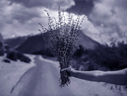 Ladakh is completely different from anywhere else in India