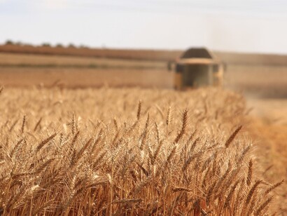 Agricultural exploitation
