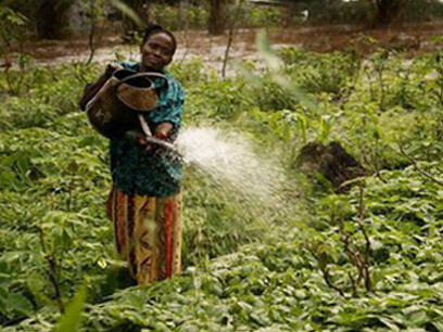"Me levanto a las 5 de la mañana y, muchas veces, me voy a trabajar sin nada en la barriga. ¡Sólo estos tres surcos son nuestros, no es fácil conseguir suelo para trabajarlo!"
Kiguisiya Doroté. Gentileza de Fundación Fontilles, foto de Jordi Pia. Kiguisiya Doroté, Kinshasa, RD del Congo