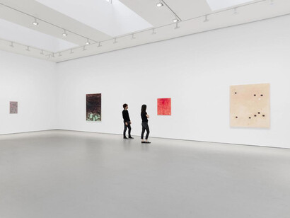 Raoul De Keyser, Touch game, exhibition view. Courtesy of David Zwirner Gallery