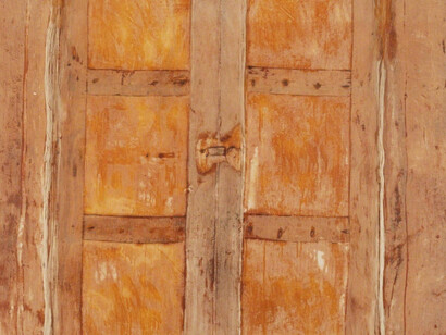 Heidi Bucher. Courtesy of Lehmann Maupin